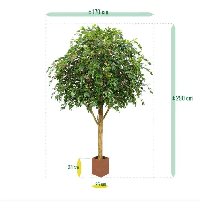 Albero Gigante ficus Exotica 290 cm