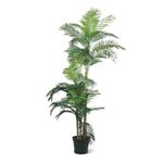 Carica immagine nella visualizzazione Galleria, Palma Golden Kane Areca 180 cm
