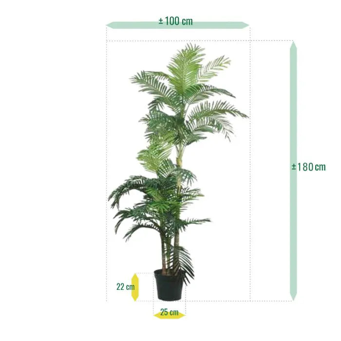 Palma Golden Kane Areca 180 cm