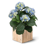 Carica immagine nella visualizzazione Galleria, Ortensia Deluxe blu 45 cm
