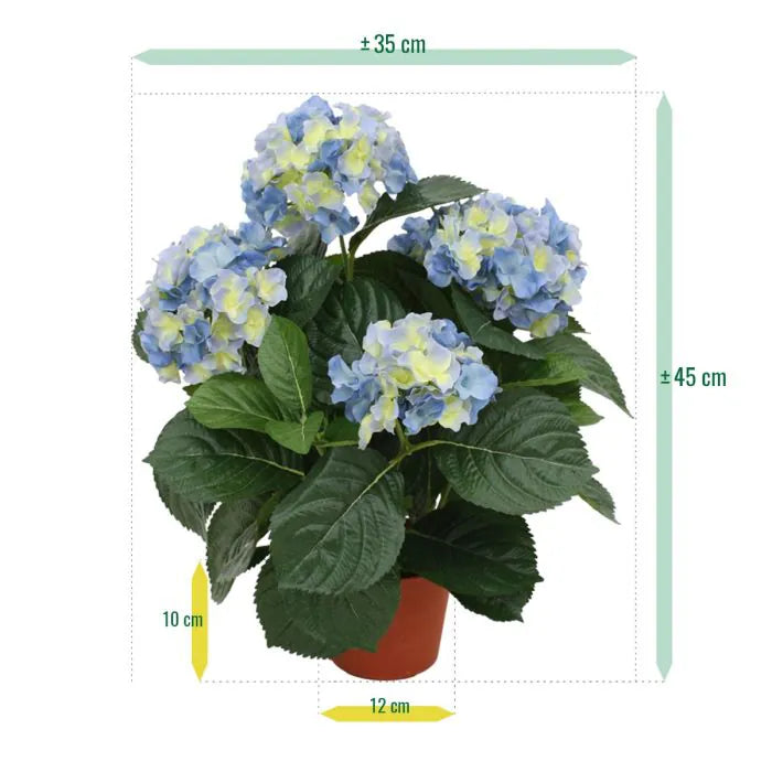 Ortensia Deluxe blu 45 cm