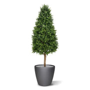 Torre di bosso 140 cm PROTEZIONE UV