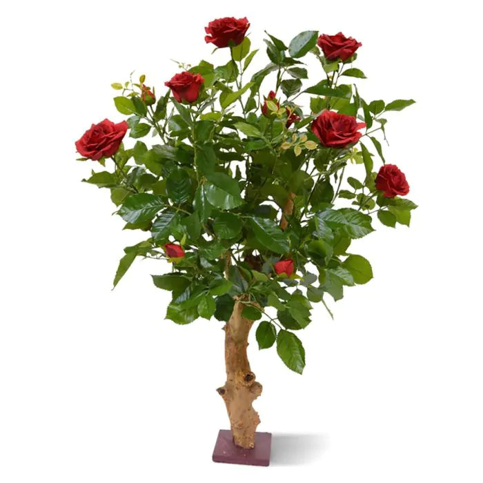 Rosa Rossa su Tronco in vaso 75 cm