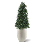 Carica immagine nella visualizzazione Galleria, Albero Di Alloro Deluxe piramide 150 cm
