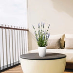 Carica immagine nella visualizzazione Galleria, Lavanda in vaso 50 cm Protezione UV
