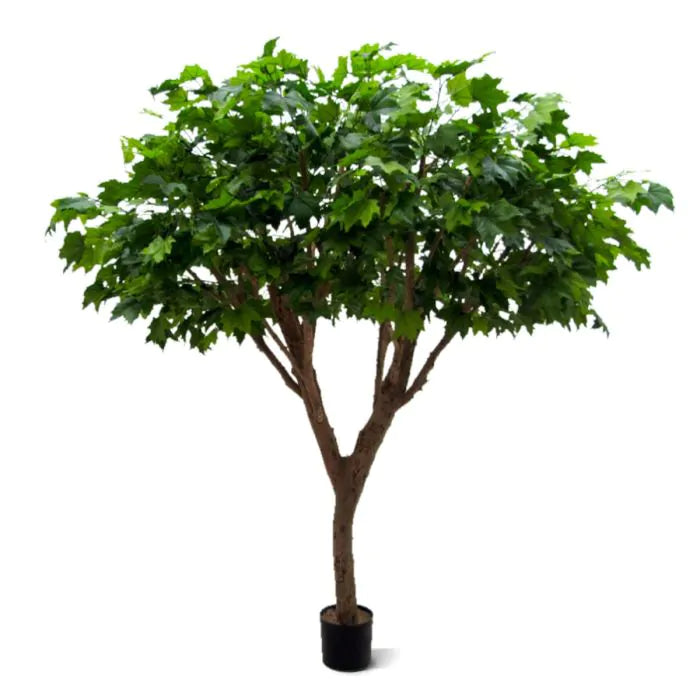 Albero Acero Deluxe 240 cm