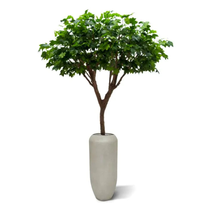 Albero Acero Deluxe 240 cm