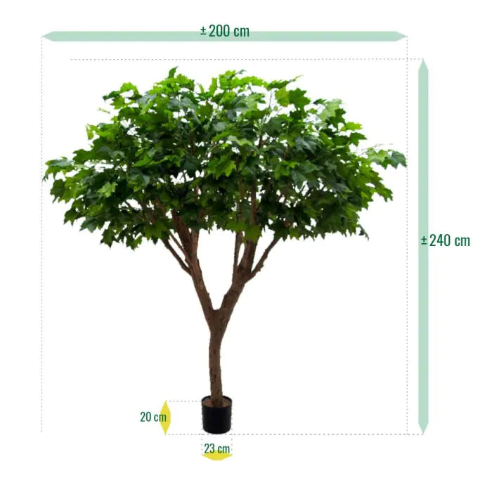 Albero Acero Deluxe 240 cm