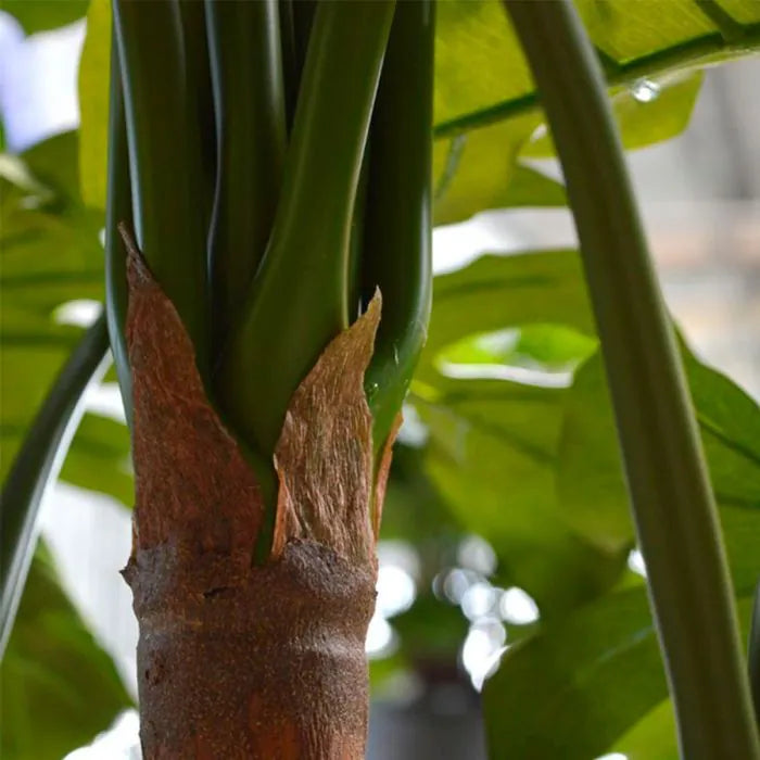 albero Di monstera Deluxe 180 cm