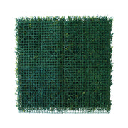 PARETE VERDE TARANTO 100x100 CM