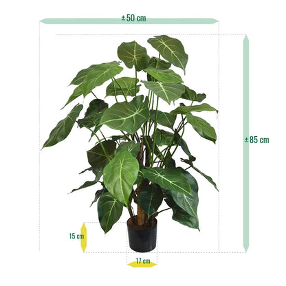 Syngonium Deluxe 85 cm