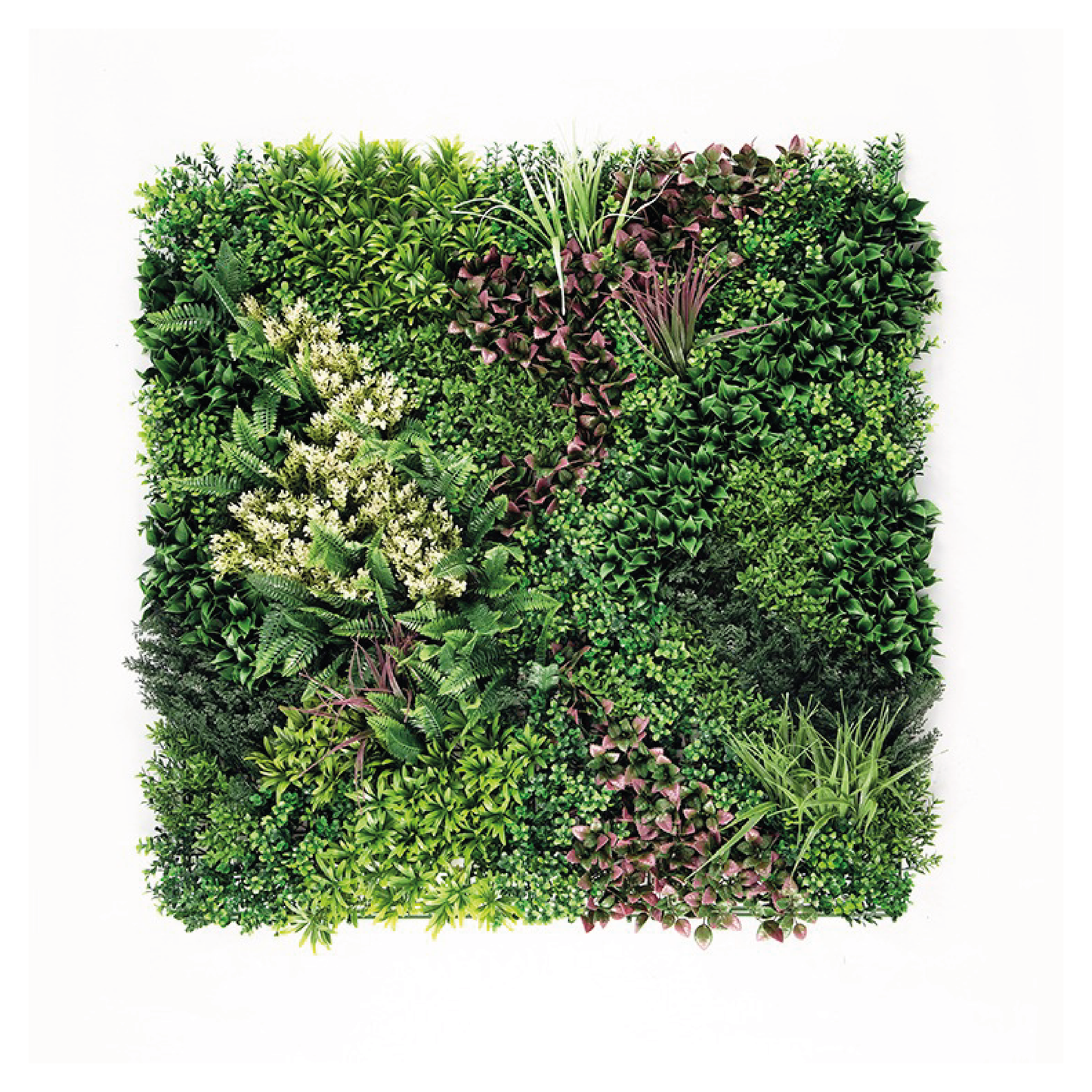 PARETE VERDE TARANTO 100x100 CM