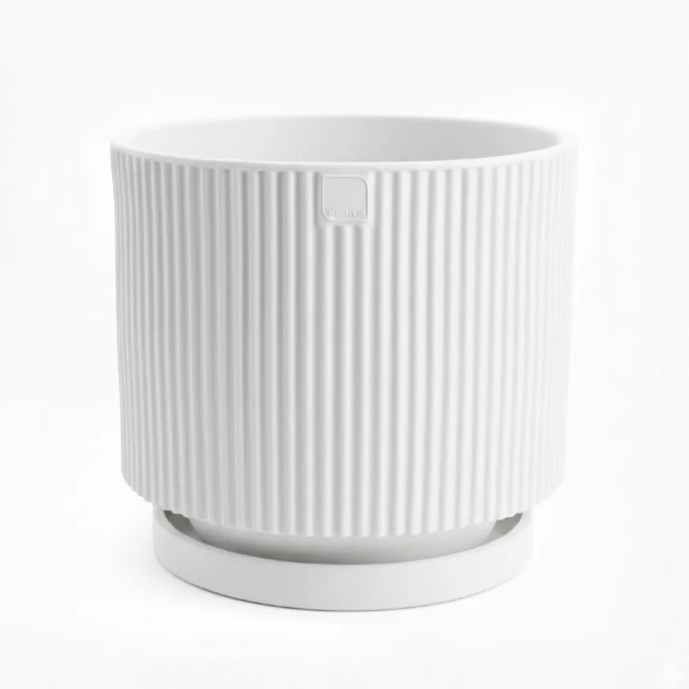 Vaso Vertigo