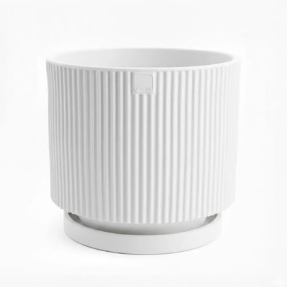 Vaso Vertigo