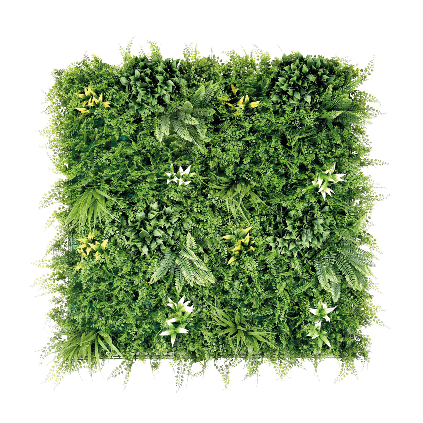 PARETE VERDE VERSALLES 100x100 CM